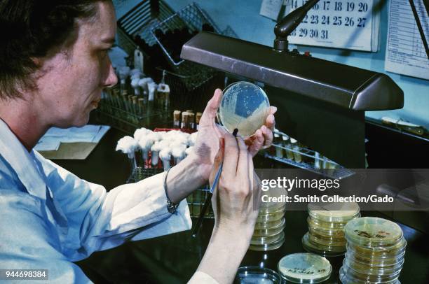 Centers for Disease Control laboratorian isolating Salmonella from a fecal specimen, 1963. Image courtesy Centers for Disease Control / Dr Kokko.