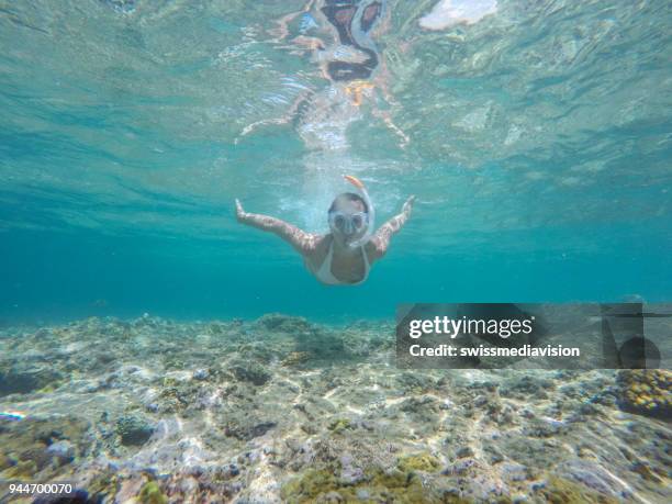 giovane donna si tuffa sott'acqua sulla barriera corallina in mare - dive adventure foto e immagini stock