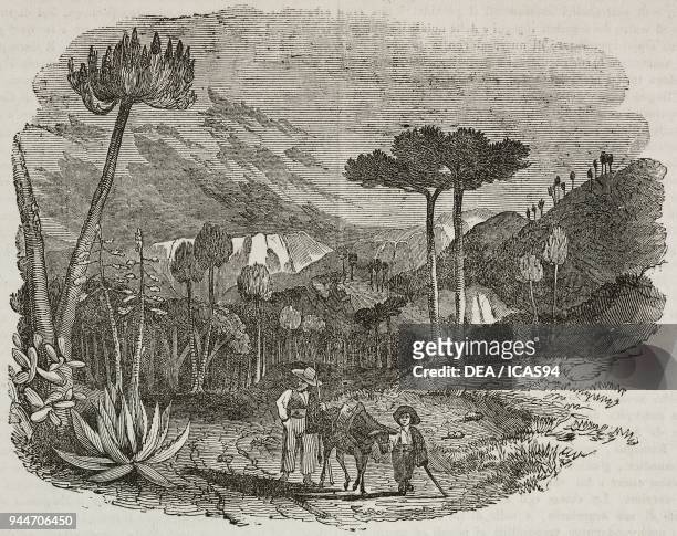 Setubal Valley, Portugal, illustration from Teatro universale, Raccolta enciclopedica e scenografica, No 280, November 16, 1839.