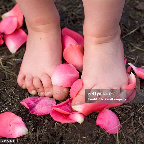 young girl's feet walking through rose petals and soil - waddling stock pictures, royalty-free photos & images