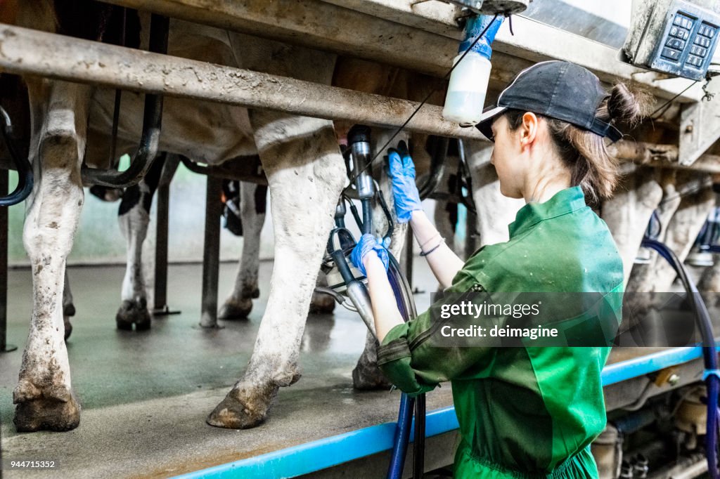 Trabajadora de comprobación de aplicaciones móviles de la máquina de ordeño