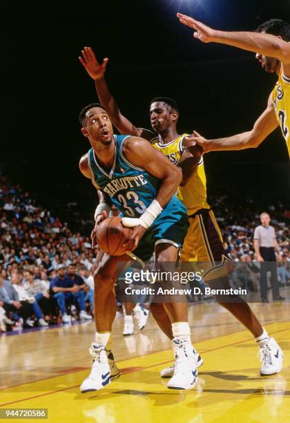 Alonzo Mourning of the Charlotte Hornets handles the ball during the game against the Los Angeles Lakers on January 14, 1994 at the Great Western...