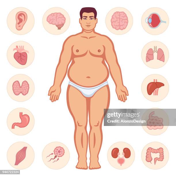 illustrazioni stock, clip art, cartoni animati e icone di tendenza di corpo maschile grasso - fat guy
