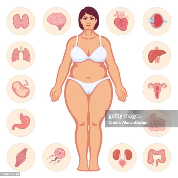 dicke frau körper - fat woman stock-grafiken, -clipart, -cartoons und -symbole