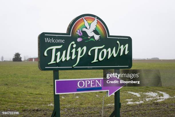 Signage stands on display at Skagit Valley Bulb Farm Inc. Tulip Town in Mount Vernon, Washington, U.S., on Thursday, April 5, 2018. Bloomberg is...