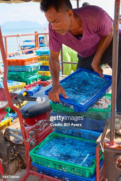 Fish Load 555 Loading Fish Stock Photos, High-Res Pictures, and Images - Getty Images