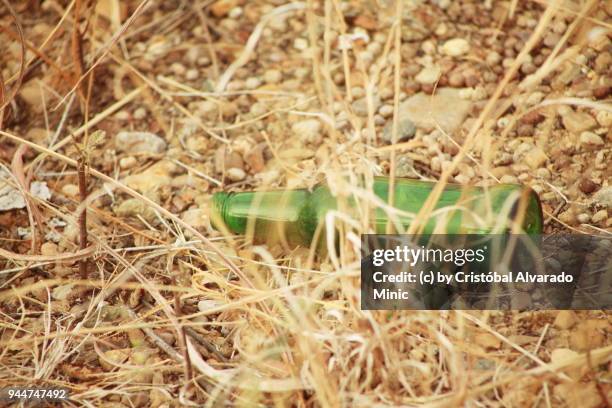 abandoned bottle laying on ground - guarico state stock pictures, royalty-free photos & images