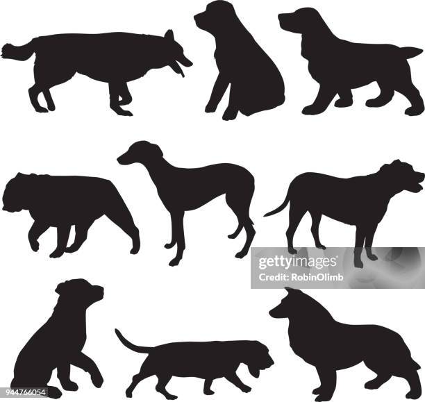ilustraciones, imágenes clip art, dibujos animados e iconos de stock de siluetas de perro juego - basset hound