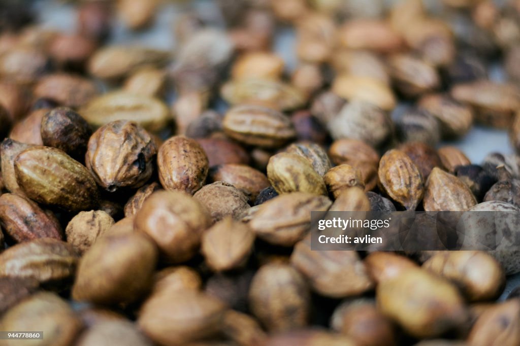 Close-Up Of Beans On Table