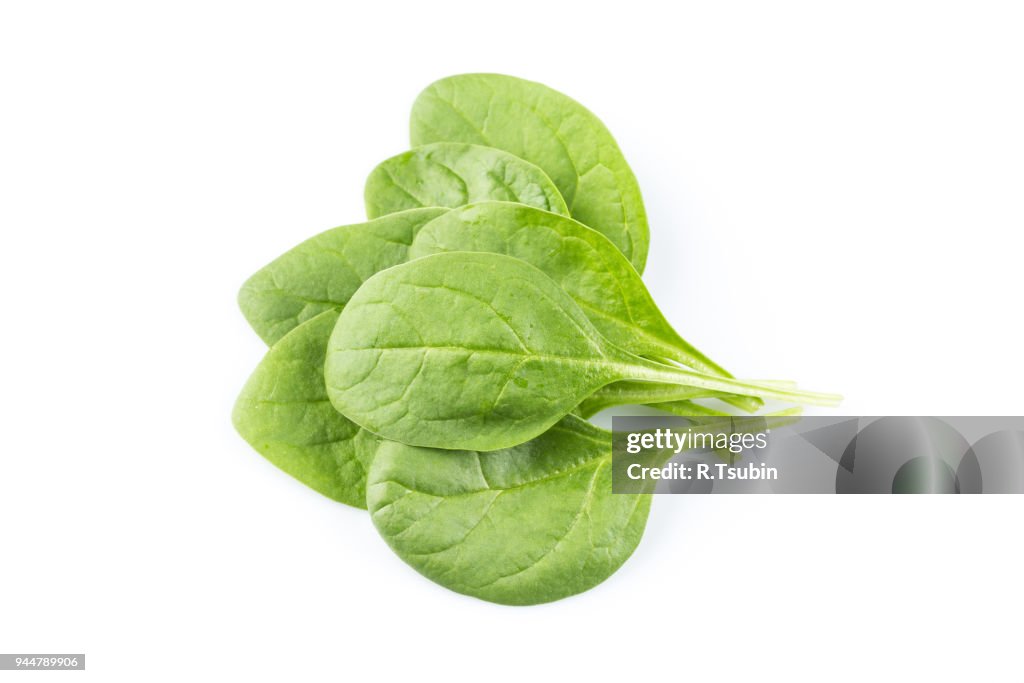 Green spinach leaves