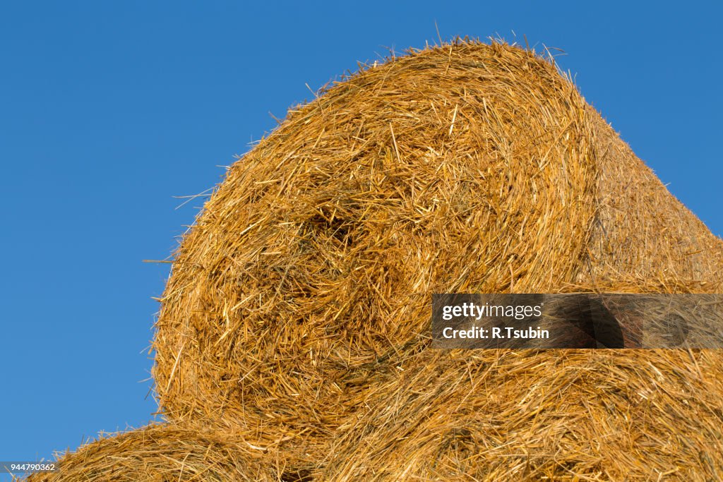 Piled hay bales