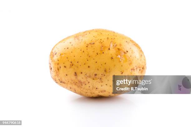 young potato isolated - pommes de terre cuisinées photos et images de collection