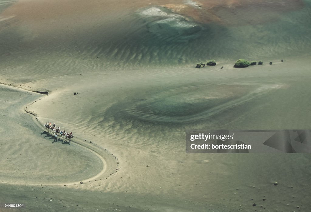 High Angle View Of Camels On Landscape