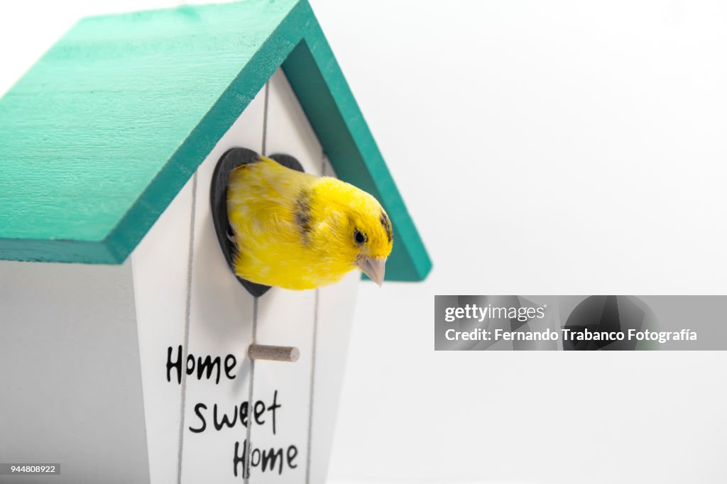 Bird house