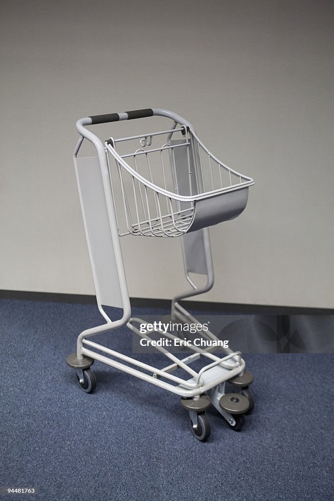 Luggage or shopping cart