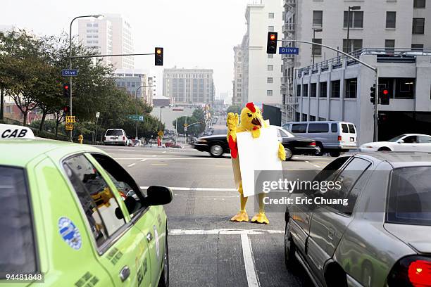 person in chicken costume at crosswalk - sandwich board stock pictures, royalty-free photos & images