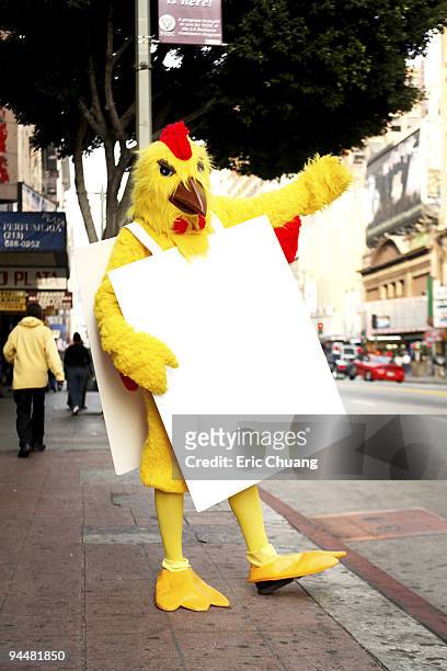 person in chicken costume standing on sidewalk - sandwich board stock pictures, royalty-free photos & images