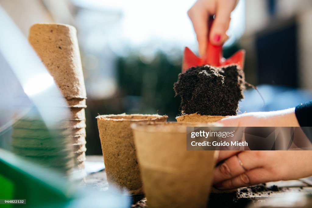 Woman planting seed.