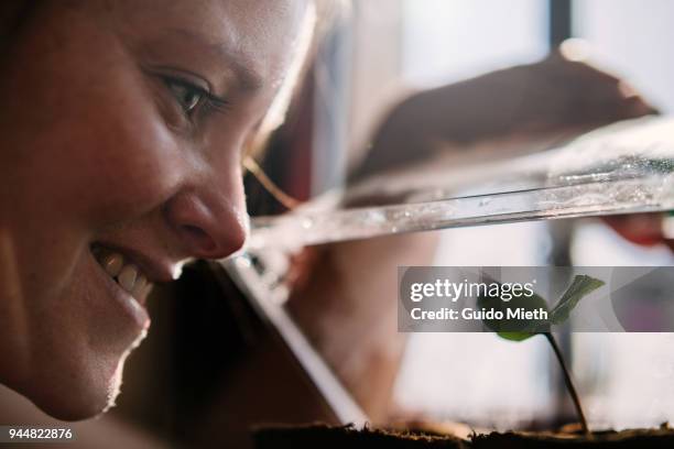 smiling woman looking into green house. - green fingers - fotografias e filmes do acervo