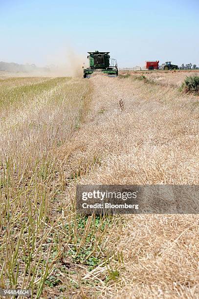 Header Machine Farm 255 Harvest Header Stock Photos, High-Res Pictures, and Images - Getty ...