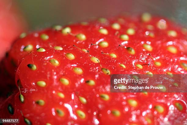 strawberry close-up - stephan de prouw stock-fotos und bilder
