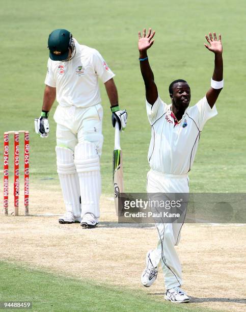 Kemar Roach of the West Indies appeals unsuccessfully for the wicket of Ricky Ponting of Australia rising delivery by during day one of the Third...