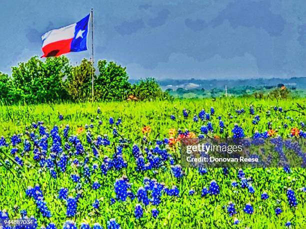 texas flag and bluebonnet field - texas bluebonnet stock pictures, royalty-free photos & images