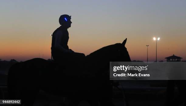 Hugh Bowman on Winx returns from a trackwork session at Rosehill Gardens on April 12, 2018 in Sydney, Australia.