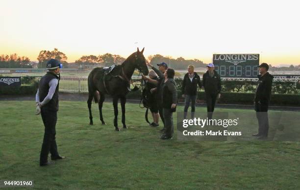 Owners of Winx inspect the horse as Hugh Bowman and Chris Waller look on after a trackwork sesskion at Rosehill Gardens on April 12, 2018 in Sydney,...