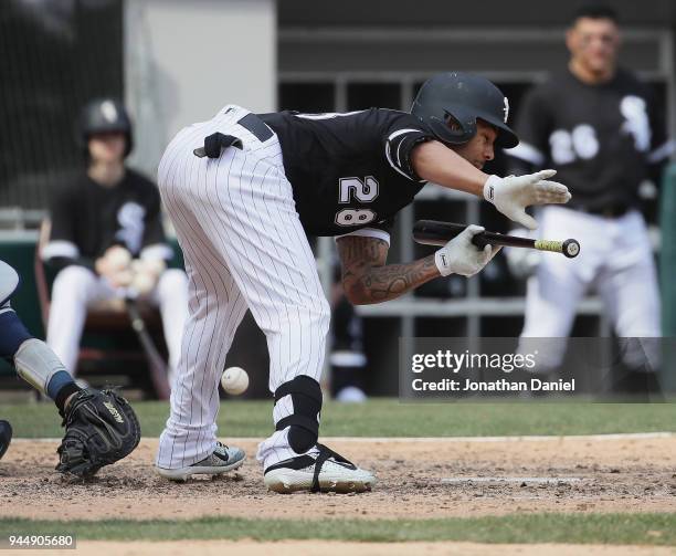 Leury Garcia of the Chicago White Sox is hit on the shin by a pitch in the 7th inning against the Tampa Bay Rays at Guaranteed Rate Field on April...