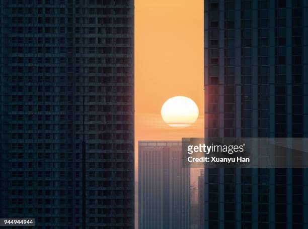high modern skyscrapers at sunrise - circular business district stock-fotos und bilder