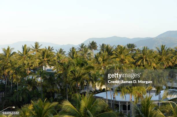 The delights of Port Douglas and its beaches and forests on August 09, 2013 in Port Douglas, Queensland, Australia. Situated north of Cairns in the...