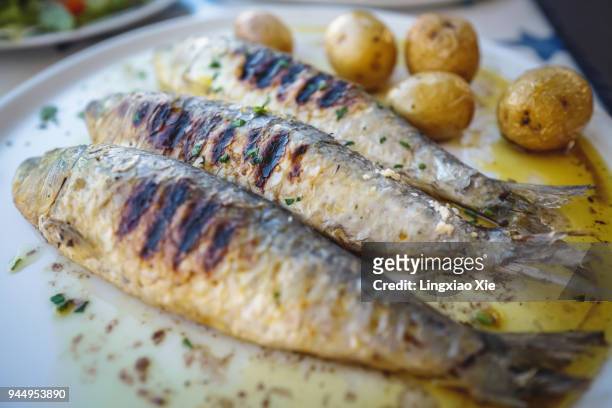 close-up view of grilled sardine fishes served in oil with baked potatoes, portugal - cultura portoghese foto e immagini stock