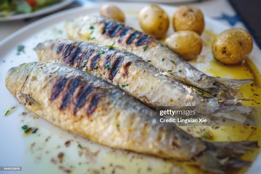 Close-up view of grilled sardine fishes served in oil with baked potatoes, Portugal