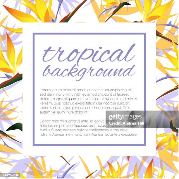 tropical design template with copy space for text - nature flower / leaf seamless pattern in background - coconut leaf pattern stock illustrations