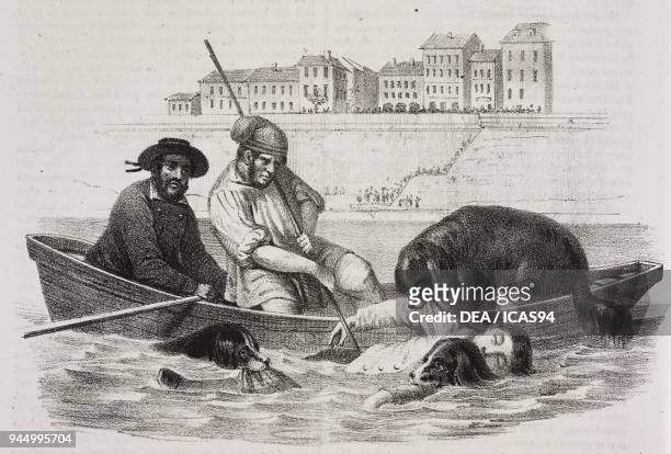 Water rescue service with Newfoundland dogs on the Seine, Paris, France, lithograph from Poliorama Pittoresco, n 44, June 7, 1845.