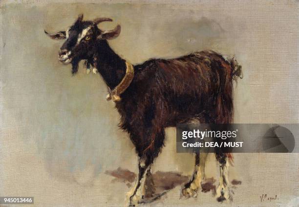 Goat by Vincenzo Caprile , oil on canvas, 30x43 cm. Italy, 19th century.