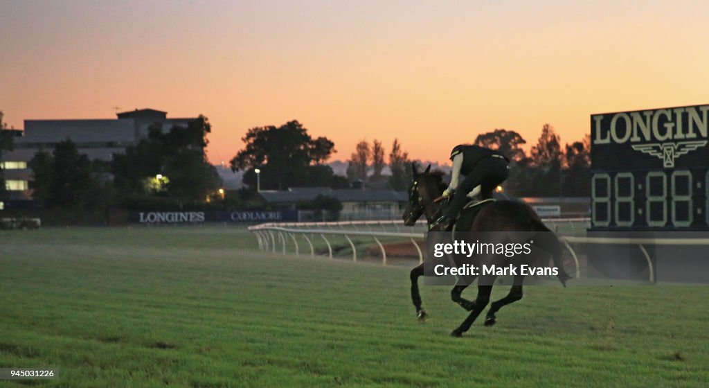 Sydney Trackwork Session