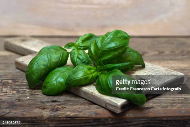 basil - basil stock pictures, royalty-free photos & images