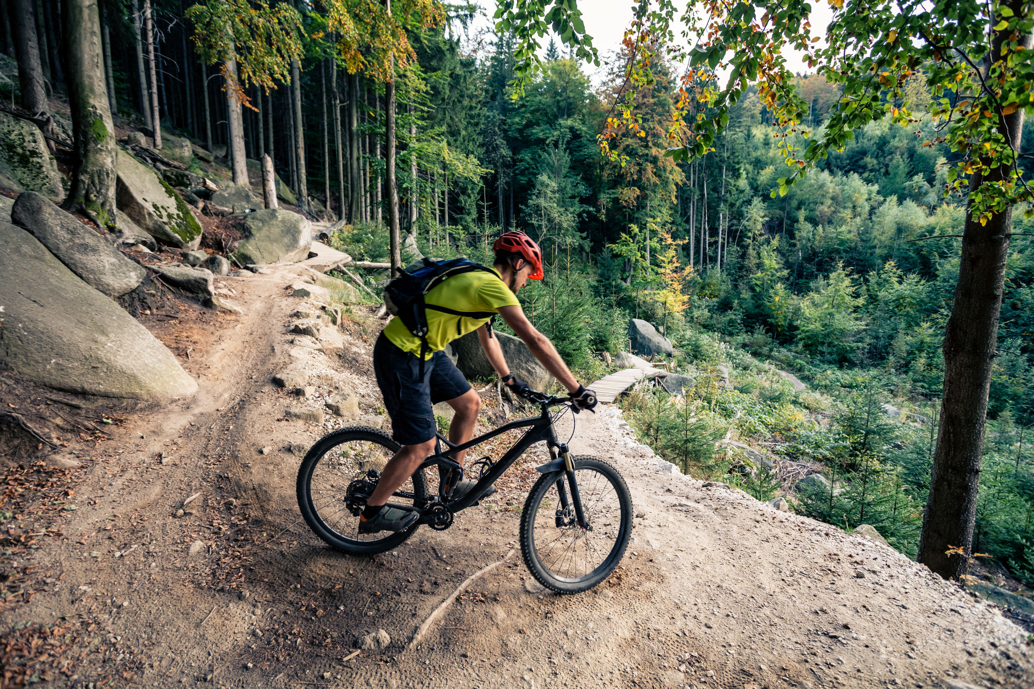 mountain bike trails