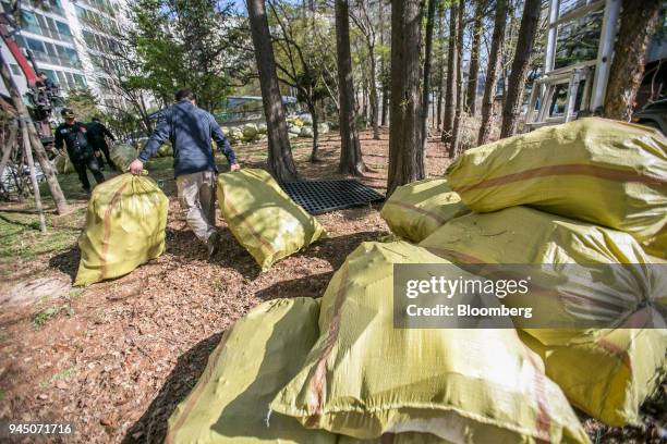 The manager of an apartment complex moves bags of plastic waste to be picked up by waste collectors in Yongin, South Korea, on Wednesday, April 11,...
