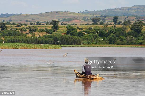 fisherman on lake tana - lake tana stock pictures, royalty-free photos & images