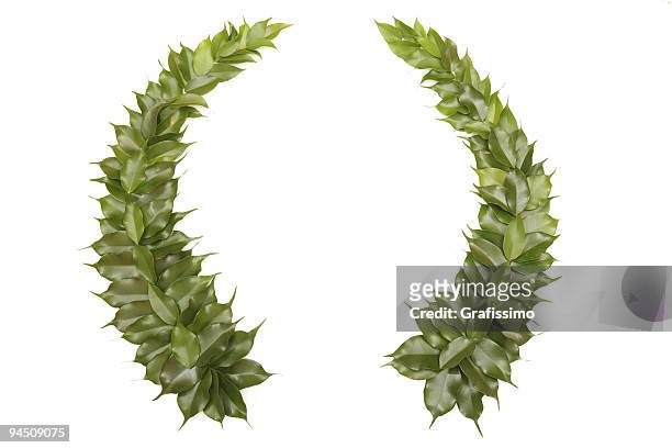 green wreath isolated on white - olympic ceremony stock pictures, royalty-free photos & images