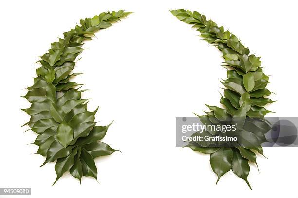 green wreath - olympic winner stock pictures, royalty-free photos & images