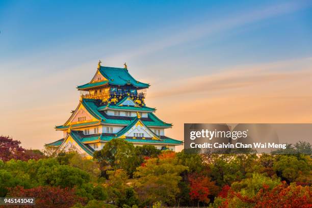 osaka castle in autumn - osaka stock pictures, royalty-free photos & images