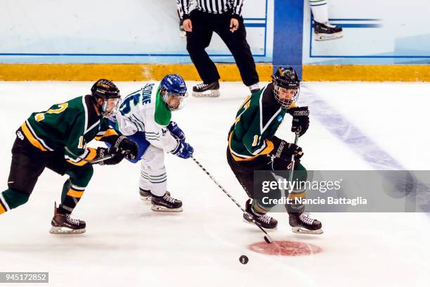 Danny Eruzione, of Salve Regina, center, fights for the puck against two St. Norbert players, Keegan Milligan, left, and Roman Uchyn, during the...