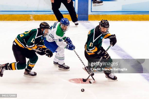Danny Eruzione, of Salve Regina, center, fights for the puck against two St. Norbert players, Keegan Milligan, left, and Roman Uchyn, during the...