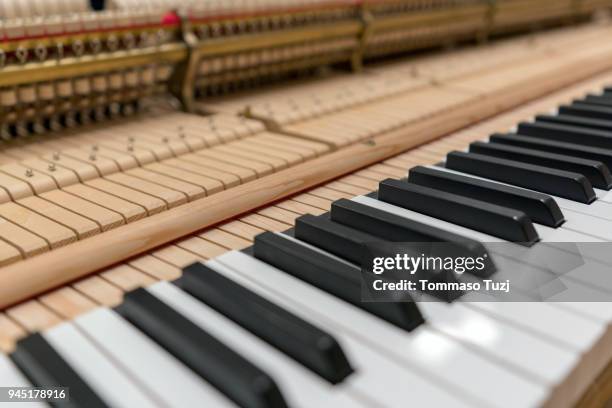 adjustment and tuning of piano - torque wrench stock pictures, royalty-free photos & images