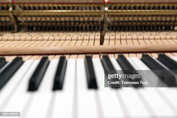 adjustment and tuning of piano - torque wrench stock pictures, royalty-free photos & images