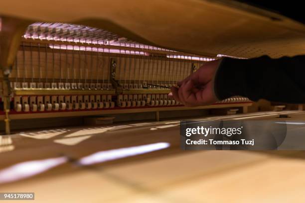 adjustment and tuning of piano - torque wrench stock pictures, royalty-free photos & images